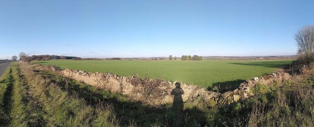 Why does coaching&nbsp;help?